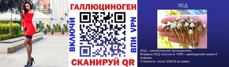 дарнет шоп  Сорочинск  Псилоцибиновые грибы прущие грибы 